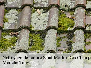 Nettoyage de toiture saint-martin-des-champs-78790 Mouche Tony
