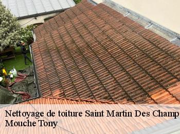 Nettoyage de toiture