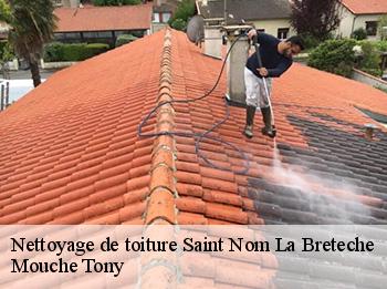 Nettoyage de toiture  78860