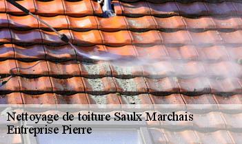 Nettoyage de toiture saulx-marchais-78650 Entreprise Pierre