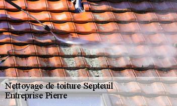 Nettoyage de toiture septeuil-78790 Entreprise Pierre