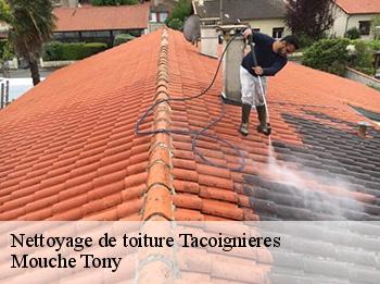 Nettoyage de toiture  78910