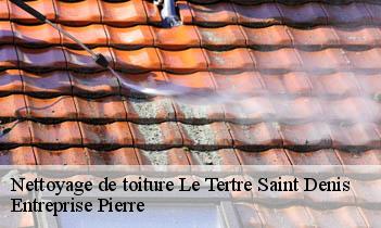 Nettoyage de toiture  le-tertre-saint-denis-78980 Entreprise Pierre