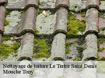 Nettoyage de toiture  le-tertre-saint-denis-78980 Mouche Tony