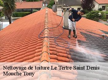 Nettoyage de toiture  78980