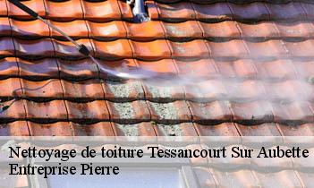 Nettoyage de toiture tessancourt-sur-aubette-78250 Entreprise Pierre