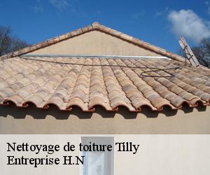 Nettoyage de toiture  tilly-78790 Entreprise H.N