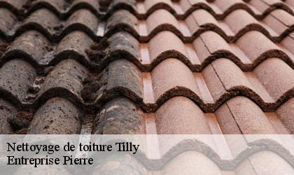 Nettoyage de toiture 78790