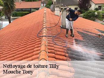 Nettoyage de toiture 78790