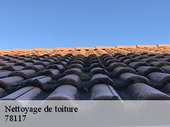 Nettoyage de toiture