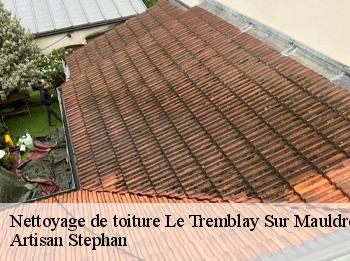 Nettoyage de toiture