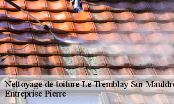 Nettoyage de toiture le-tremblay-sur-mauldre-78490 Entreprise Pierre