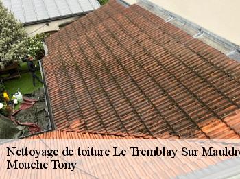 Nettoyage de toiture