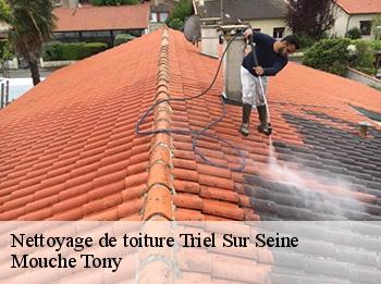 Nettoyage de toiture  78510