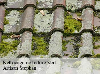 Nettoyage de toiture  vert-78930 Artisan Stephan