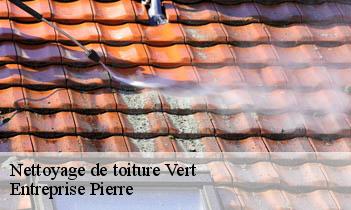 Nettoyage de toiture  vert-78930 Entreprise Pierre