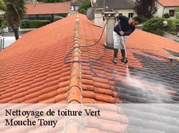 Nettoyage de toiture 78930