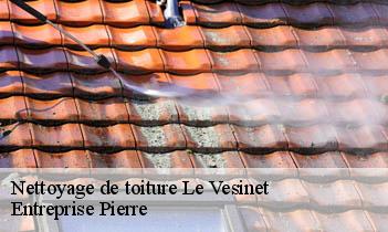 Nettoyage de toiture le-vesinet-78110 Entreprise Pierre