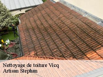 Nettoyage de toiture