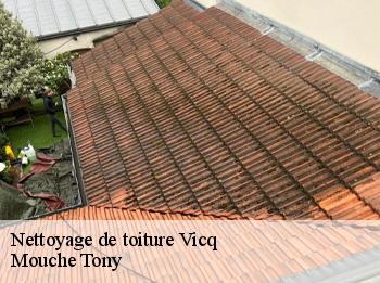 Nettoyage de toiture