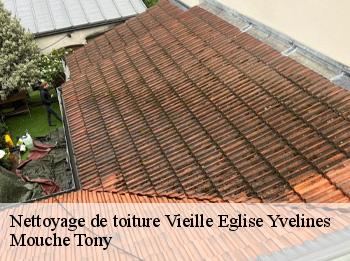 Nettoyage de toiture