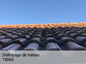 Nettoyage de toiture