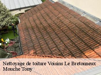 Nettoyage de toiture