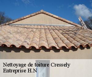 Nettoyage de toiture  cressely-78114 Entreprise H.N