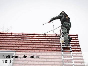 Nettoyage de toiture  78114