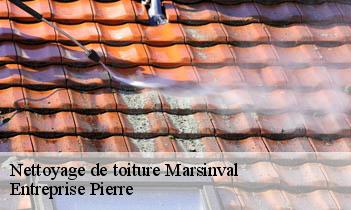 Nettoyage de toiture marsinval-78540 Entreprise Pierre