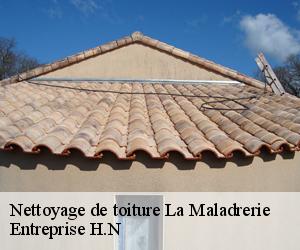 Nettoyage de toiture  la-maladrerie-78300 Eugene Toiture