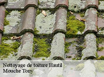 Nettoyage de toiture  hautil-78510 Mouche Tony