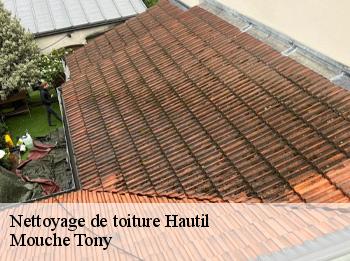 Nettoyage de toiture