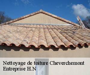 Nettoyage de toiture  cheverchemont-78510 Entreprise H.N
