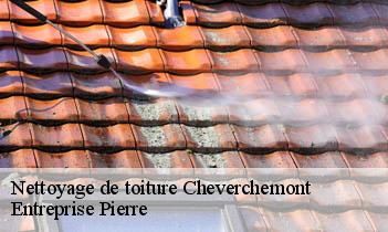 Nettoyage de toiture cheverchemont-78510 Entreprise Pierre