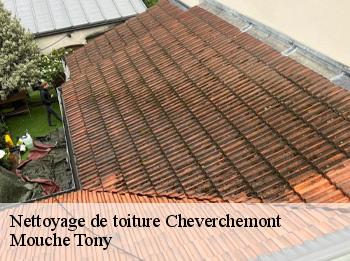 Nettoyage de toiture
