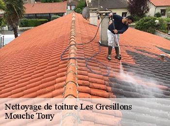 Nettoyage de toiture 78955