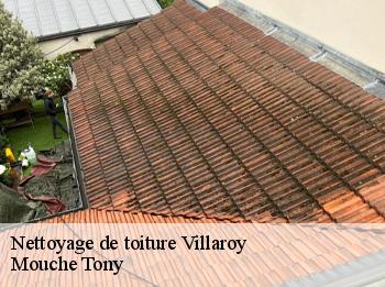 Nettoyage de toiture