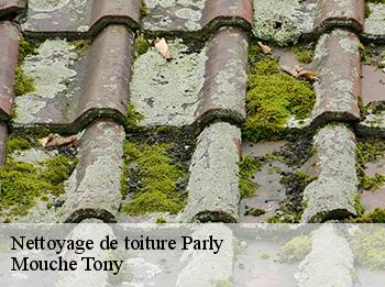 Nettoyage de toiture parly-78150 Mouche Tony