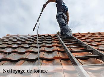 Nettoyage de toiture
