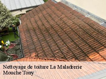 Nettoyage de toiture