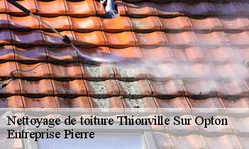 Nettoyage de toiture thionville-sur-opton-78550 Entreprise Pierre