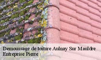 Demoussage de toiture aulnay-sur-mauldre-78126 Entreprise Pierre