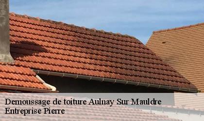 Demoussage de toiture