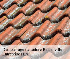 Demoussage de toiture  bazainville-78550 Entreprise H.N