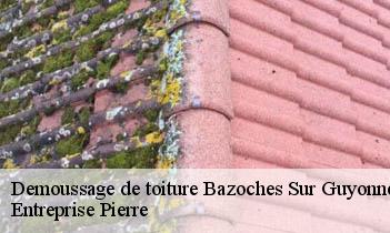 Demoussage de toiture bazoches-sur-guyonne-78490 Entreprise Pierre