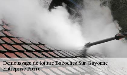 Demoussage de toiture 78490
