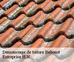 Demoussage de toiture  behoust-78910 Entreprise H.N