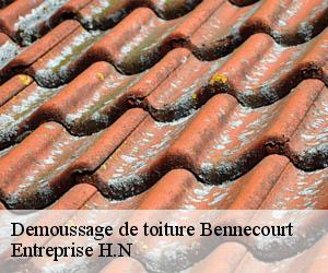 Demoussage de toiture  bennecourt-78270 Entreprise H.N