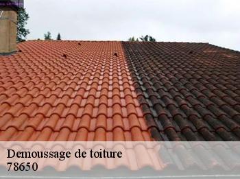 Demoussage de toiture  78650